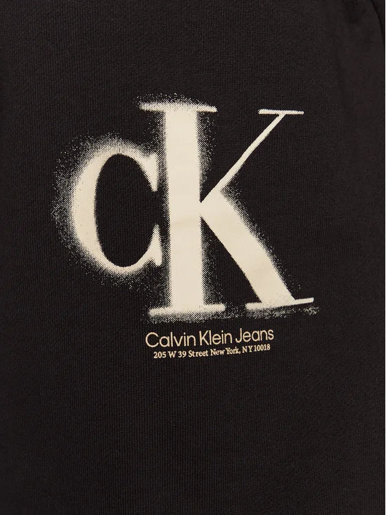 CALVIN KLEIN JEANS Women Hoodie