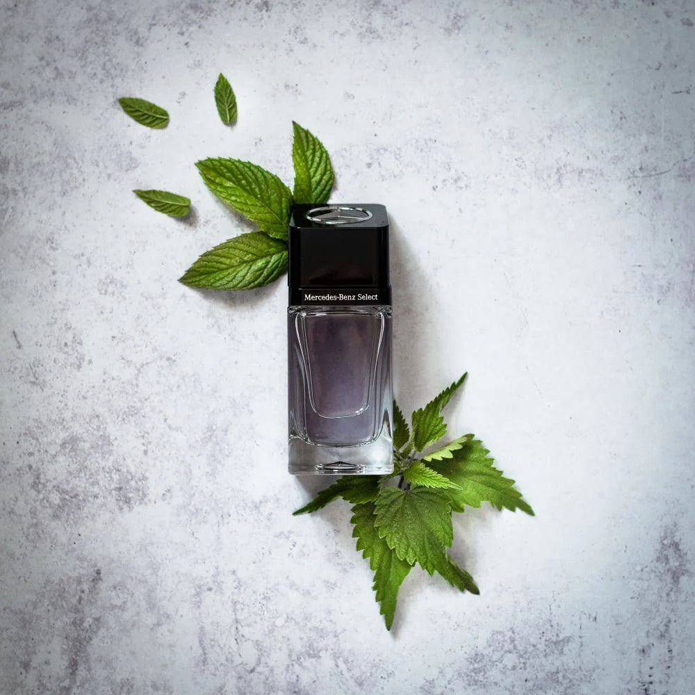 MERCEDES BENZ Select Eau de Toilette