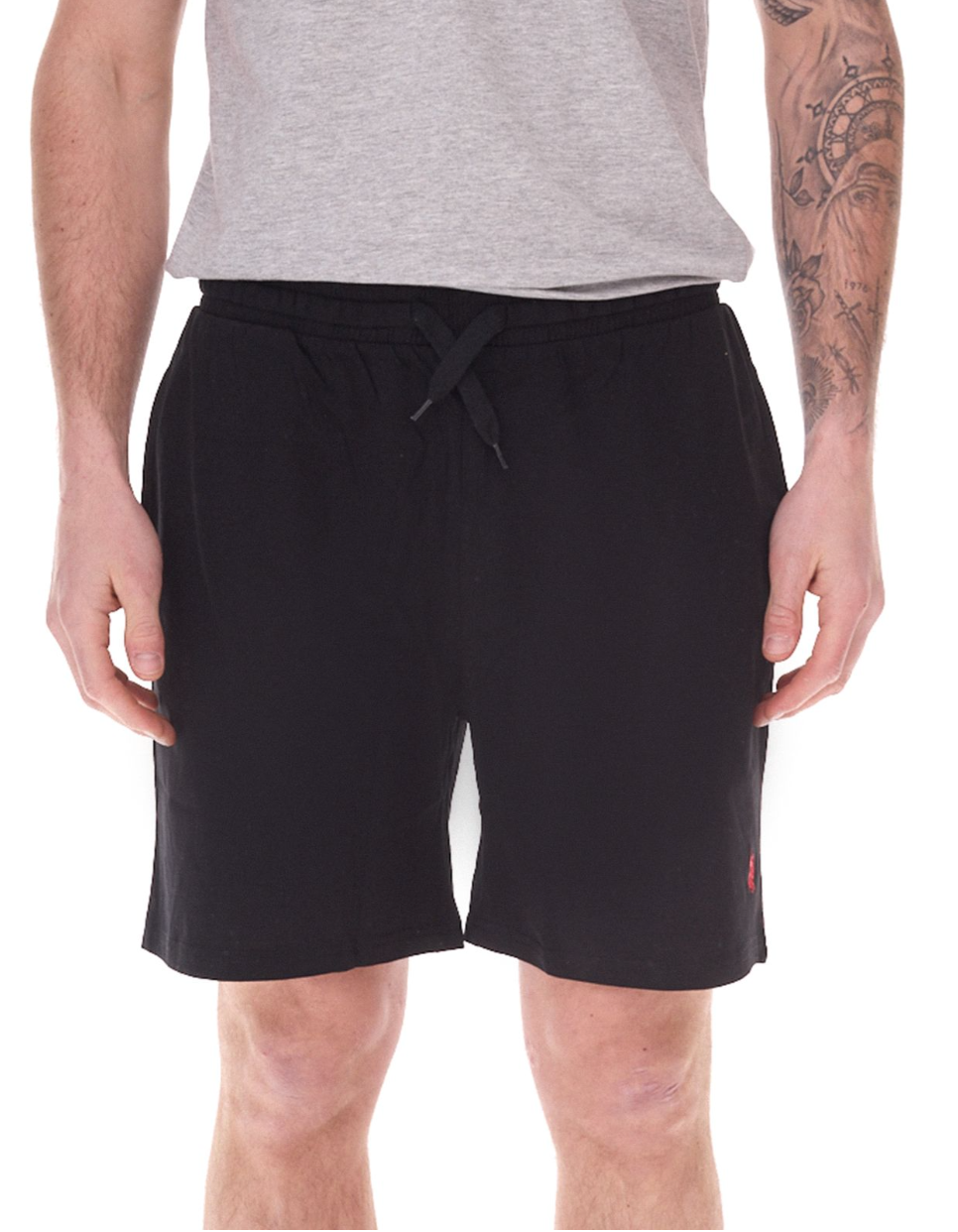 U.S. POLO ASSN. Men Shorts
