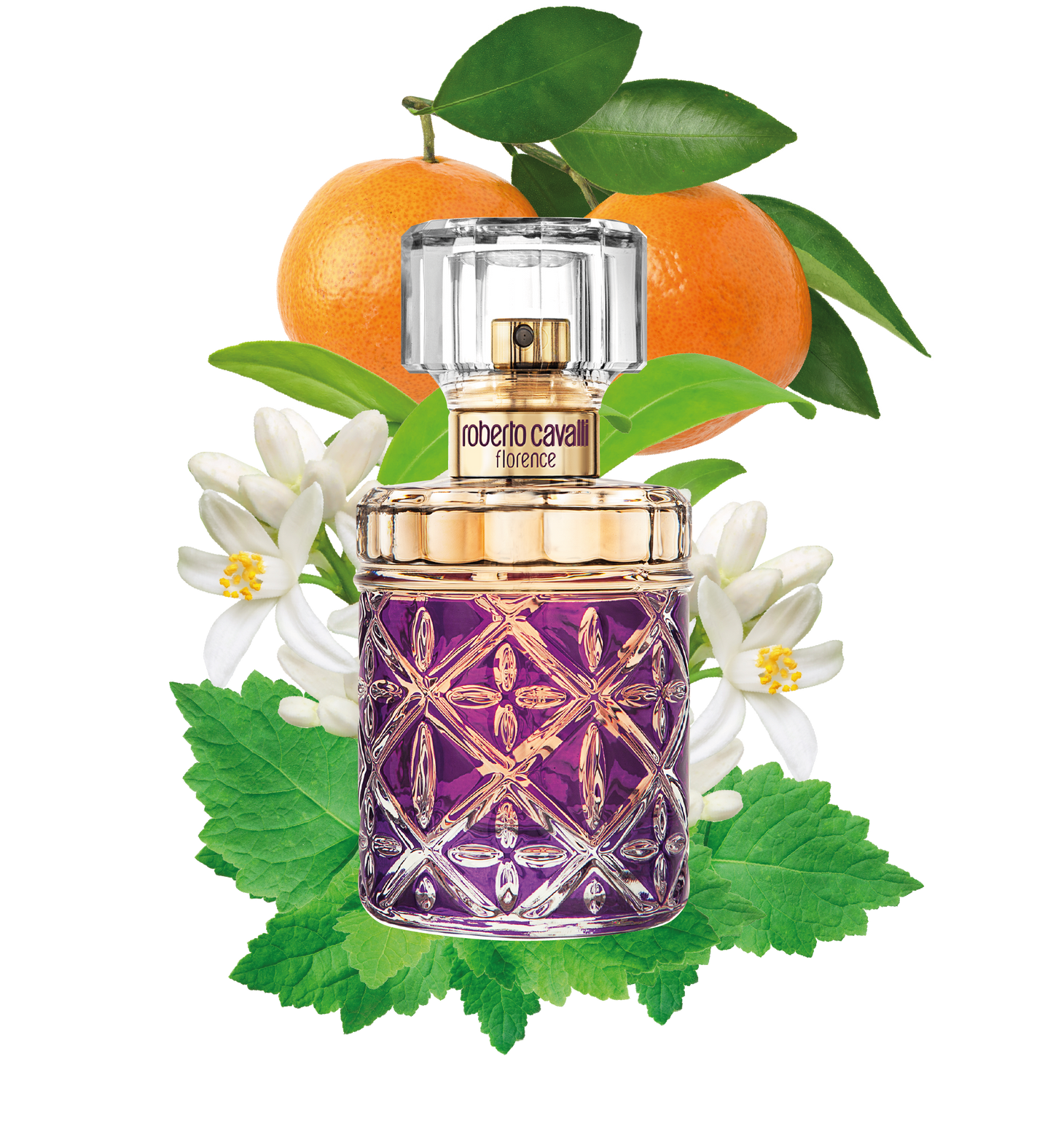 ROBERTO CAVALLI Florence Eau de Parfum