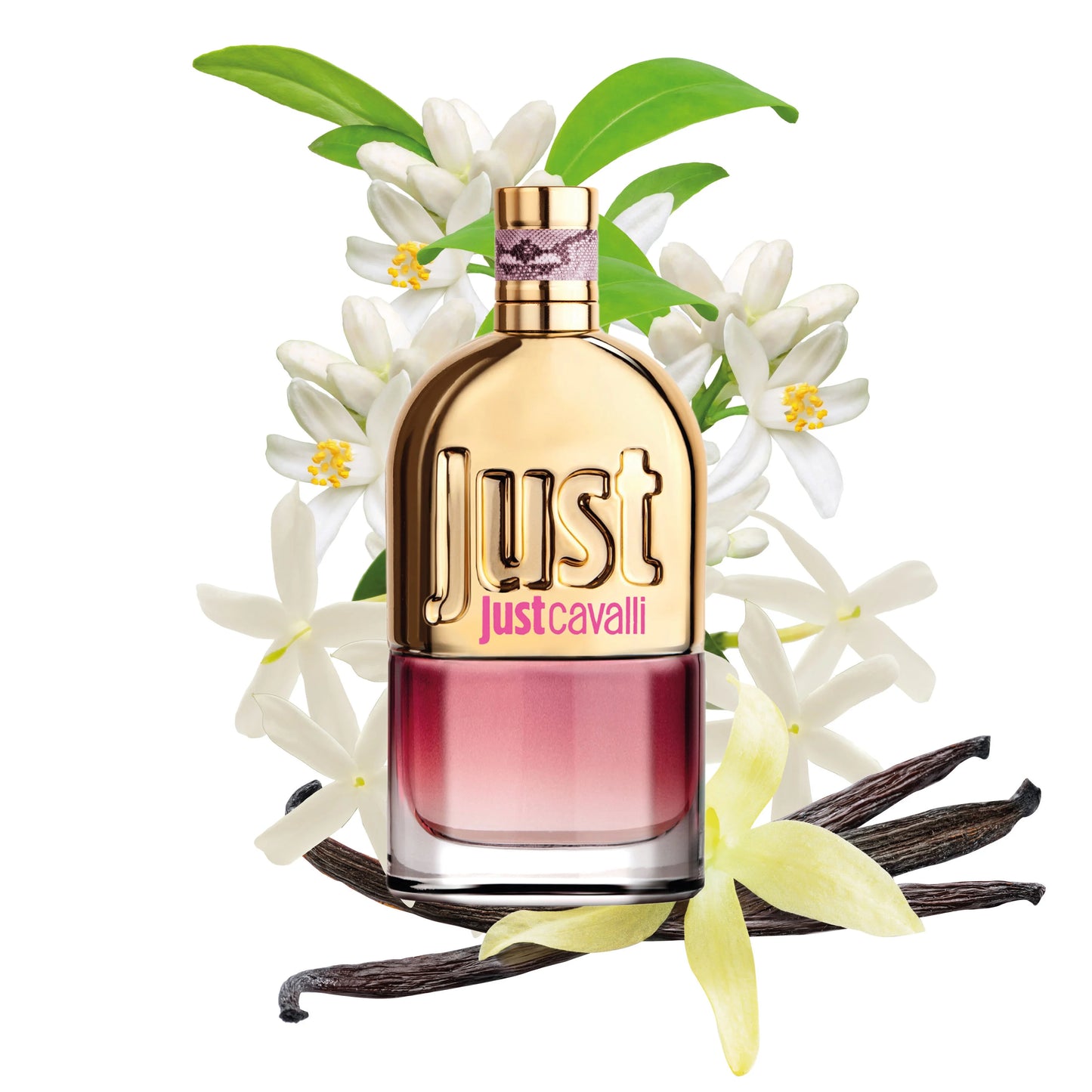 ROBERTO CAVALLI Just Cavalli Eau de Toilette