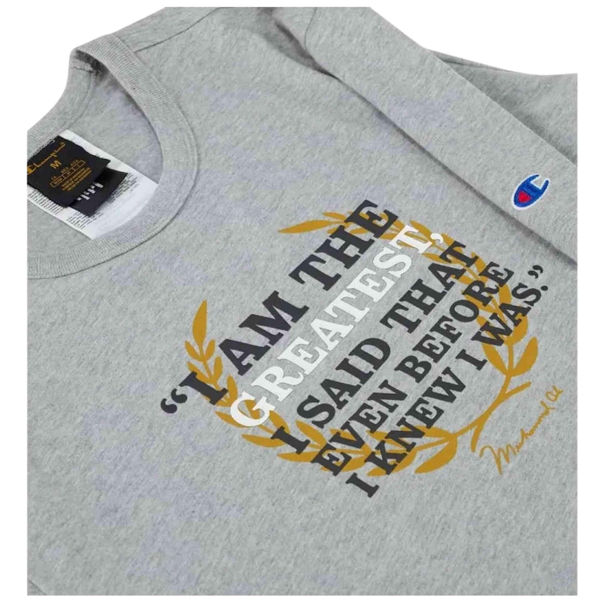CHAMPION Men T-Shirt