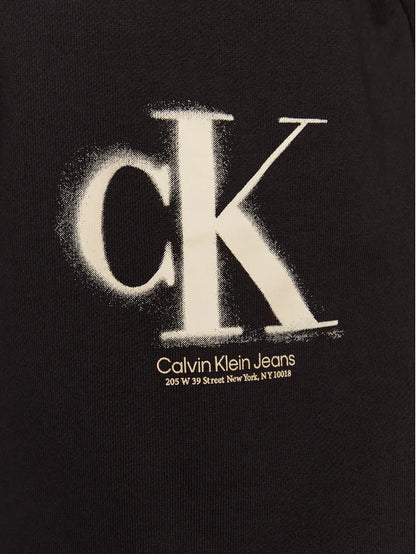 CALVIN KLEIN JEANS Women Hoodie