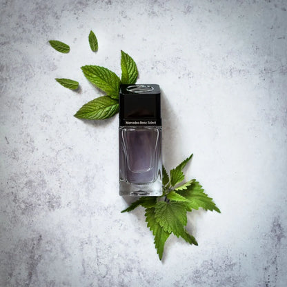 MERCEDES BENZ Select Eau de Toilette