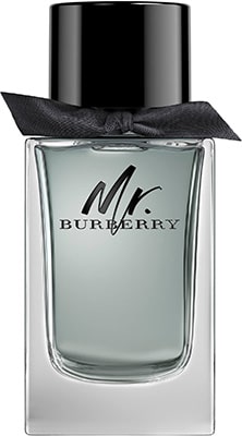 BURBERRY Mr. Burberry Eau de Toilette