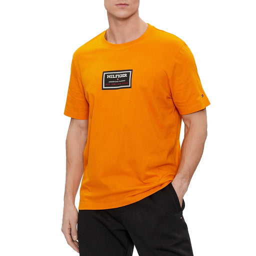 TOMMY HILFIGER Men T-Shirt