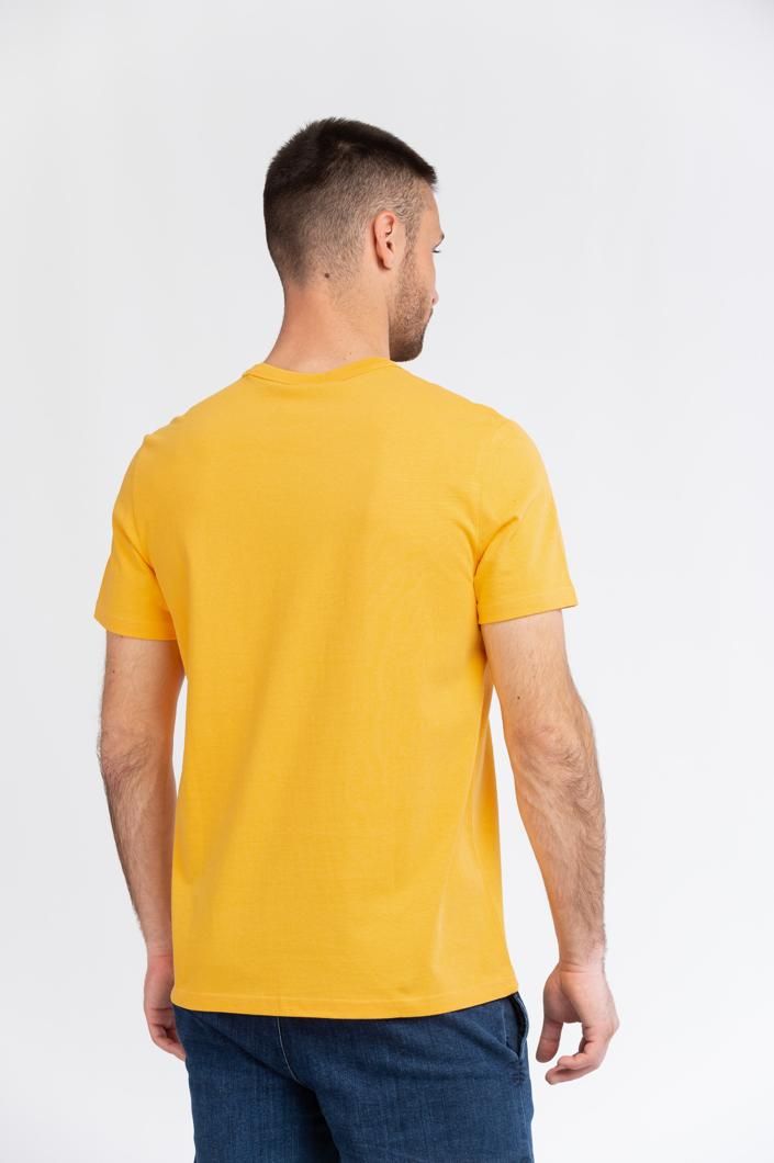 CHAMPION Men T-Shirt