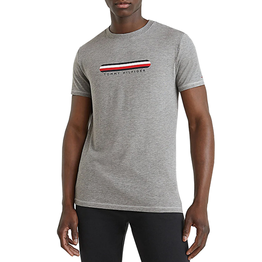 Tommy Hilfiger Men T-Shirt