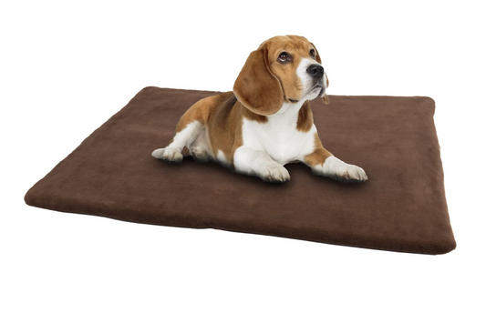 Pet Blanket