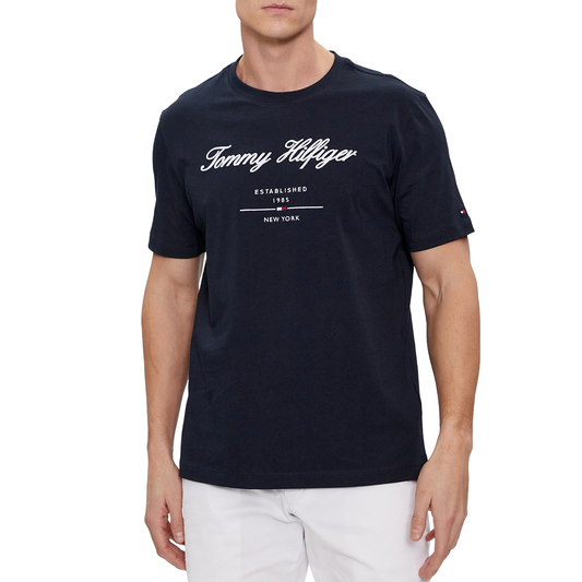 TOMMY HILFIGER Men T-Shirt