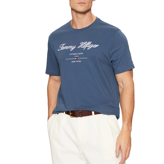 TOMMY HILFIGER Men T-Shirt