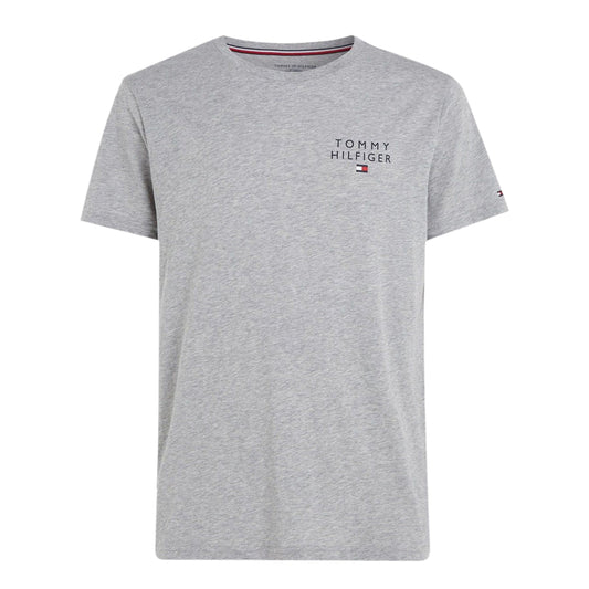 TOMMY HILFIGER Men T-Shirt