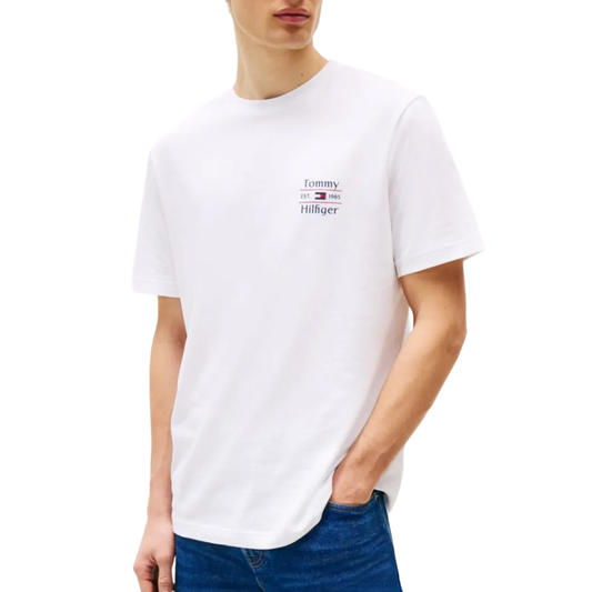 Tommy Hilfiger Men T-Shirt