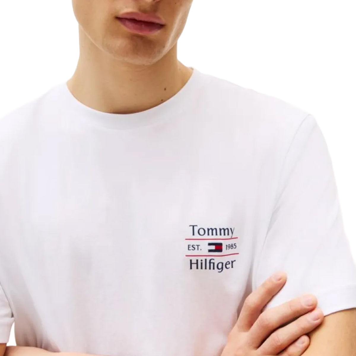 Tommy Hilfiger Men T-Shirt