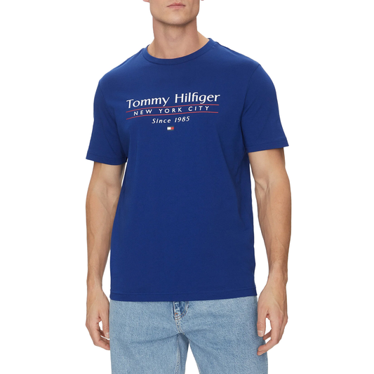 Tommy Hilfiger Men T-Shirt