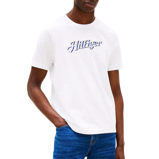 Tommy Hilfiger Men T-Shirt