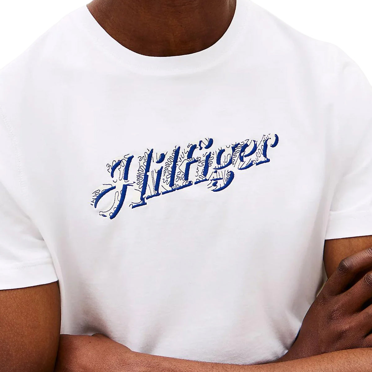 Tommy Hilfiger Men T-Shirt