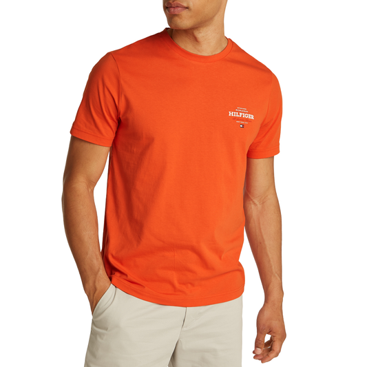 TOMMY HILFIGER Men T-Shirt