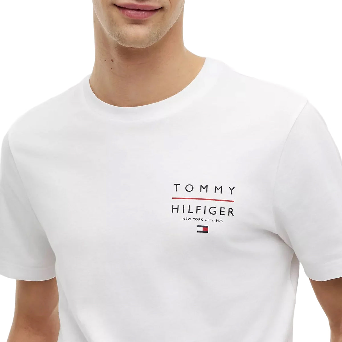 TOMMY HILFIGER Men T-Shirt