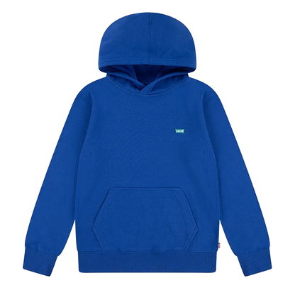 LEVI'S Boys Hoodie
