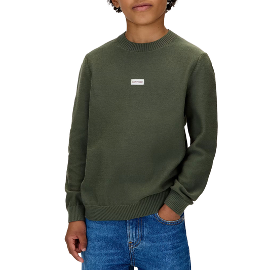 CALVIN KLEIN Boys Jumper